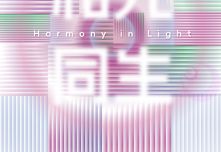 “和光同生——国际首饰艺术展（南宁）”在广西艺术学院盛大开幕