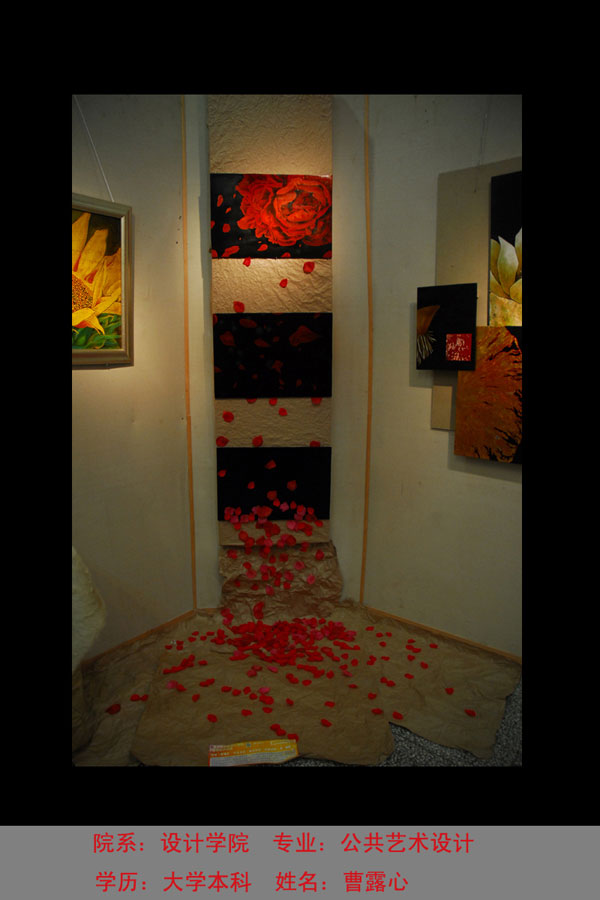 06公共曹露心作品