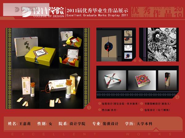 07装潢王嘉莉优秀毕业生作品