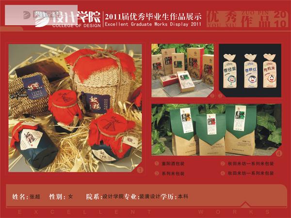 07装潢张超优秀毕业生作品